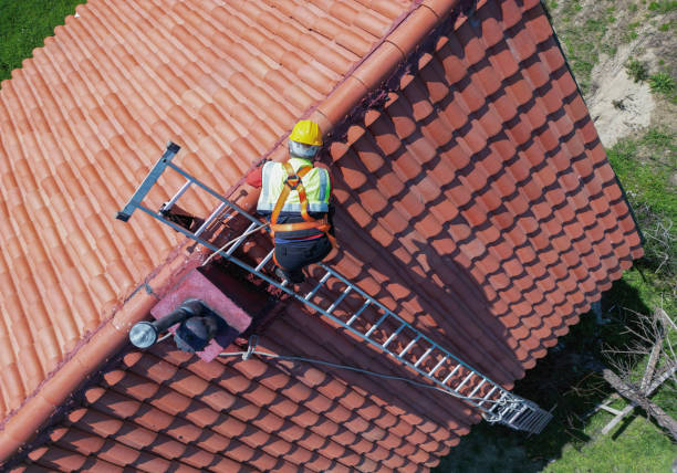 Roof Moss and Algae Removal in Kaloko, HI